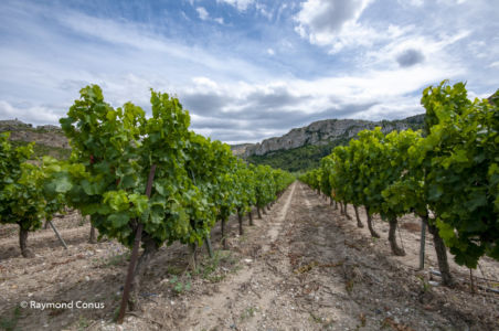 Languedoc-Roussillon (4)