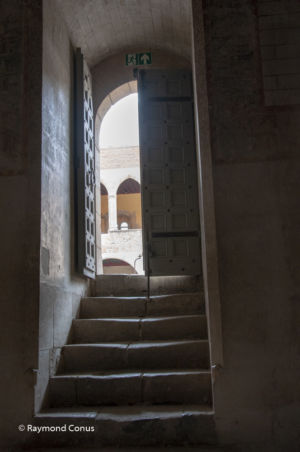 Languedoc-Roussillon (50)