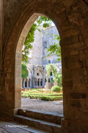 Languedoc-Roussillon (53)