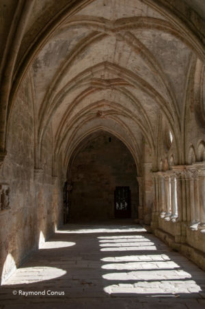 Languedoc-Roussillon (55)