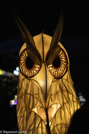 Le Peuple Lumière (14)