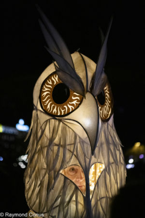 Le Peuple Lumière (15)