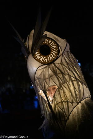 Le Peuple Lumière (16)