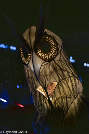 Le Peuple Lumière (17)