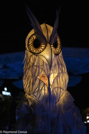 Le Peuple Lumière (18)