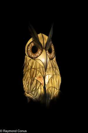 Le Peuple Lumière (20)