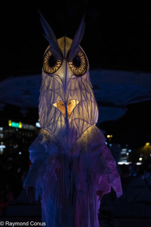 Le Peuple Lumière (21)