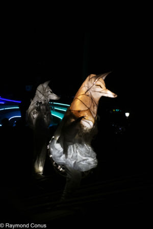 Le Peuple Lumière (23)