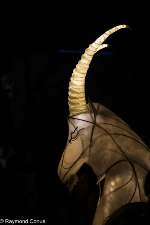 Le Peuple Lumière (3)