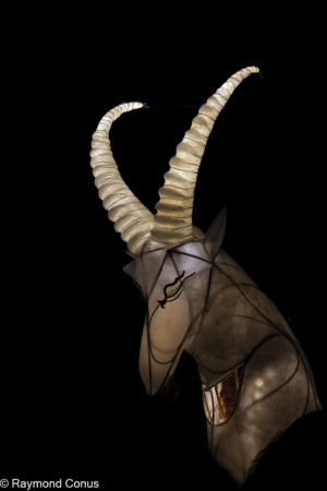 Le Peuple Lumière (5)