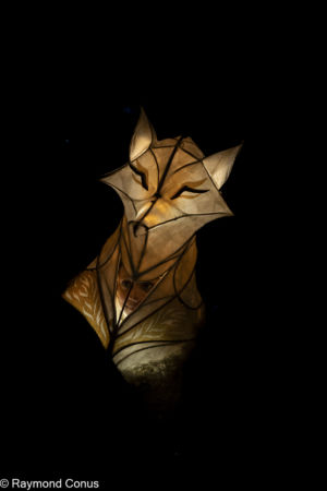 Le Peuple Lumière (6)