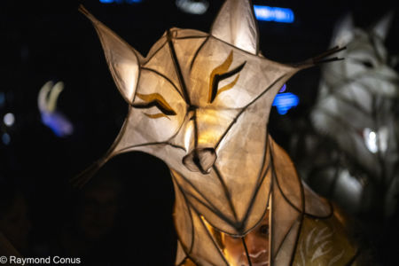 Le Peuple Lumière (8)