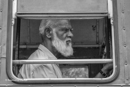Les Indiens (115)