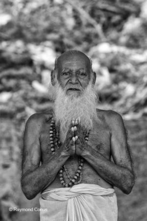 Les Indiens (125)