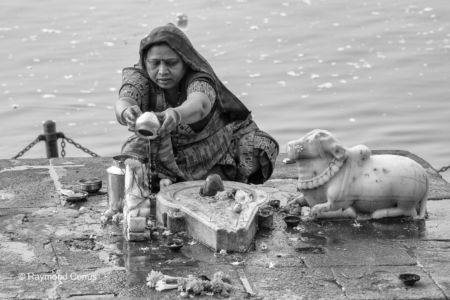 Les Indiens (137)