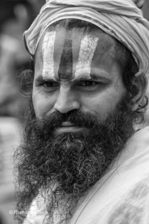 Les Indiens (140)