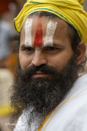 Les Indiens (140)