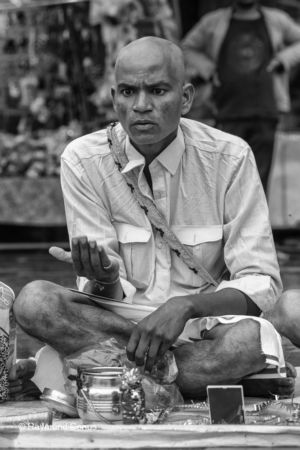 Les Indiens (157)