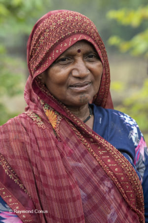 Les Indiens (167)