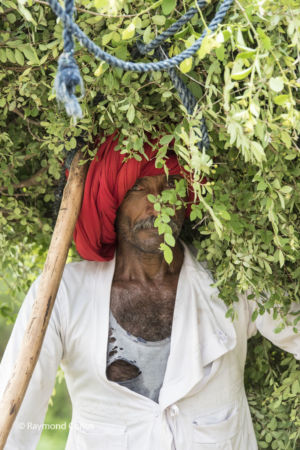 Les Indiens (84)