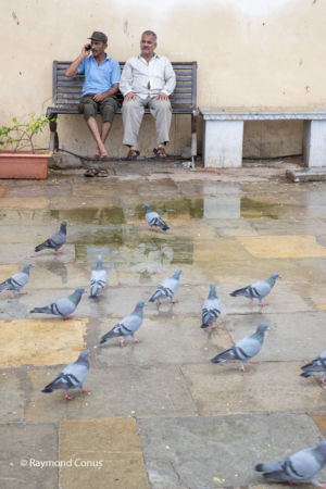 Les Indiens (85)