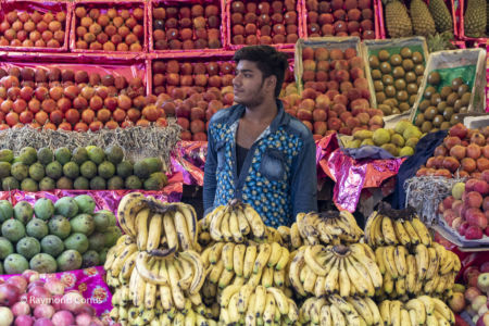 Les Indiens (94)