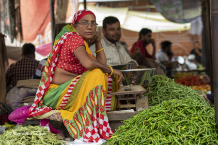 Les Indiens (95)