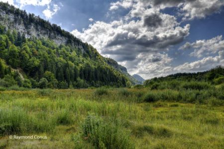 Les Lacs du Jura (14)