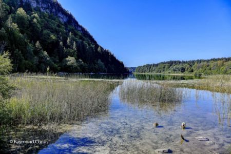 Les Lacs du Jura (1)