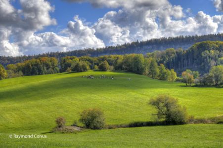 Les Lacs du Jura (22)