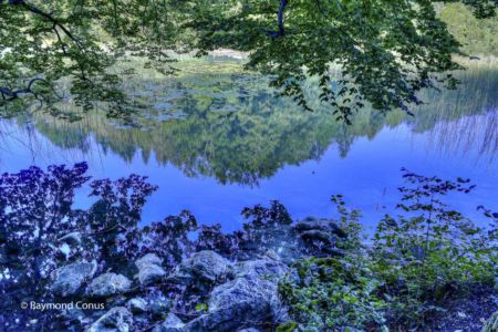 Les Lacs du Jura (5)