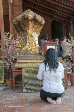 Les Thaïlandais (6)