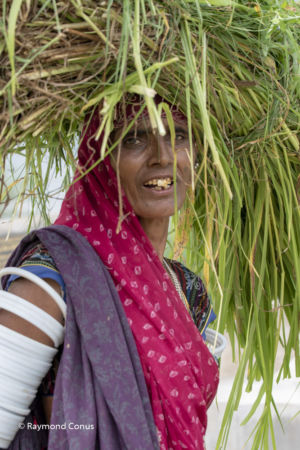 Peasant woman near Udaïpur, India, 2016