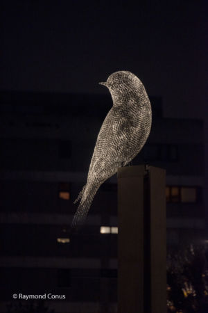 The Birds of Cédric Le Borgne