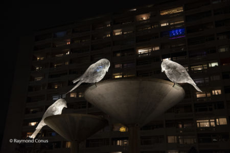 The Birds of Cédric Le Borgne