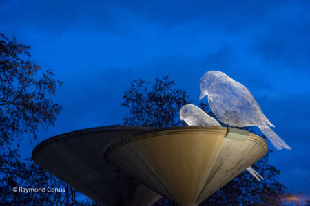 The Birds of Cédric Le Borgne