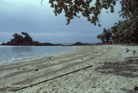 Malaisie 1981 (331)