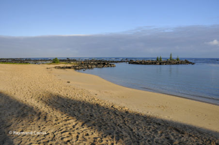 Maurice (37)