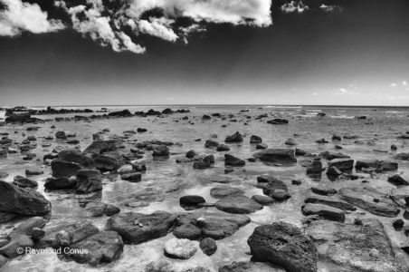 Mauritian landscapes (14)