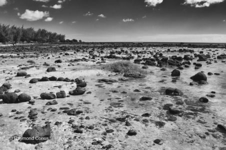 Mauritian landscapes (1)