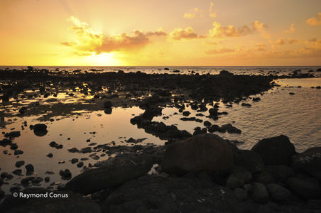 Mauritius (10)
