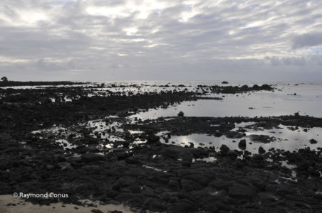 Mauritius (14)