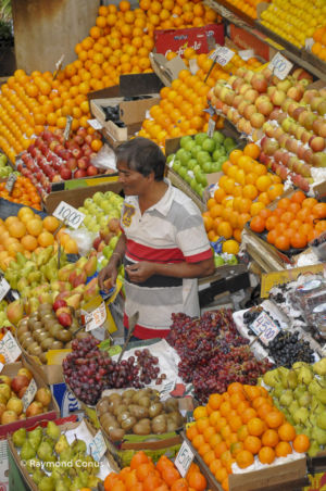 Mauritius (15)
