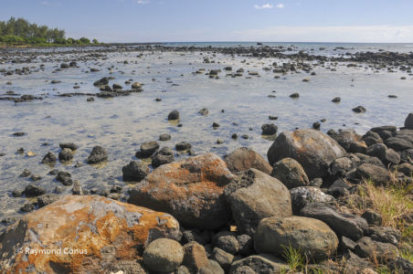Mauritius (1)
