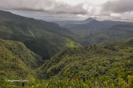 Mauritius (26)