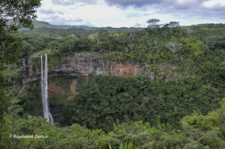 Mauritius (28)