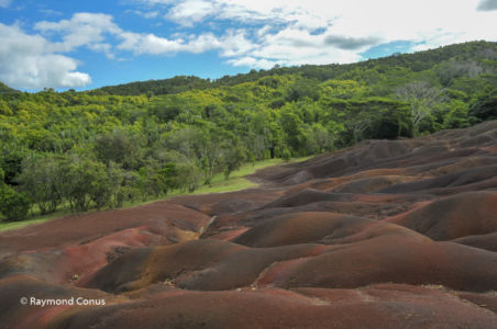 Mauritius (29)