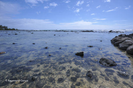 Mauritius (36)