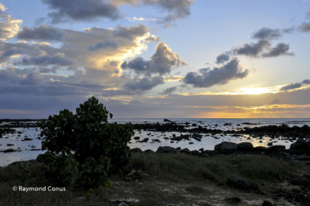 Mauritius (3)