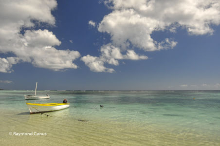 Mauritius (40)
